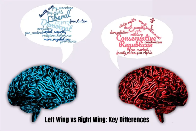 left wing vs right wing key differences
